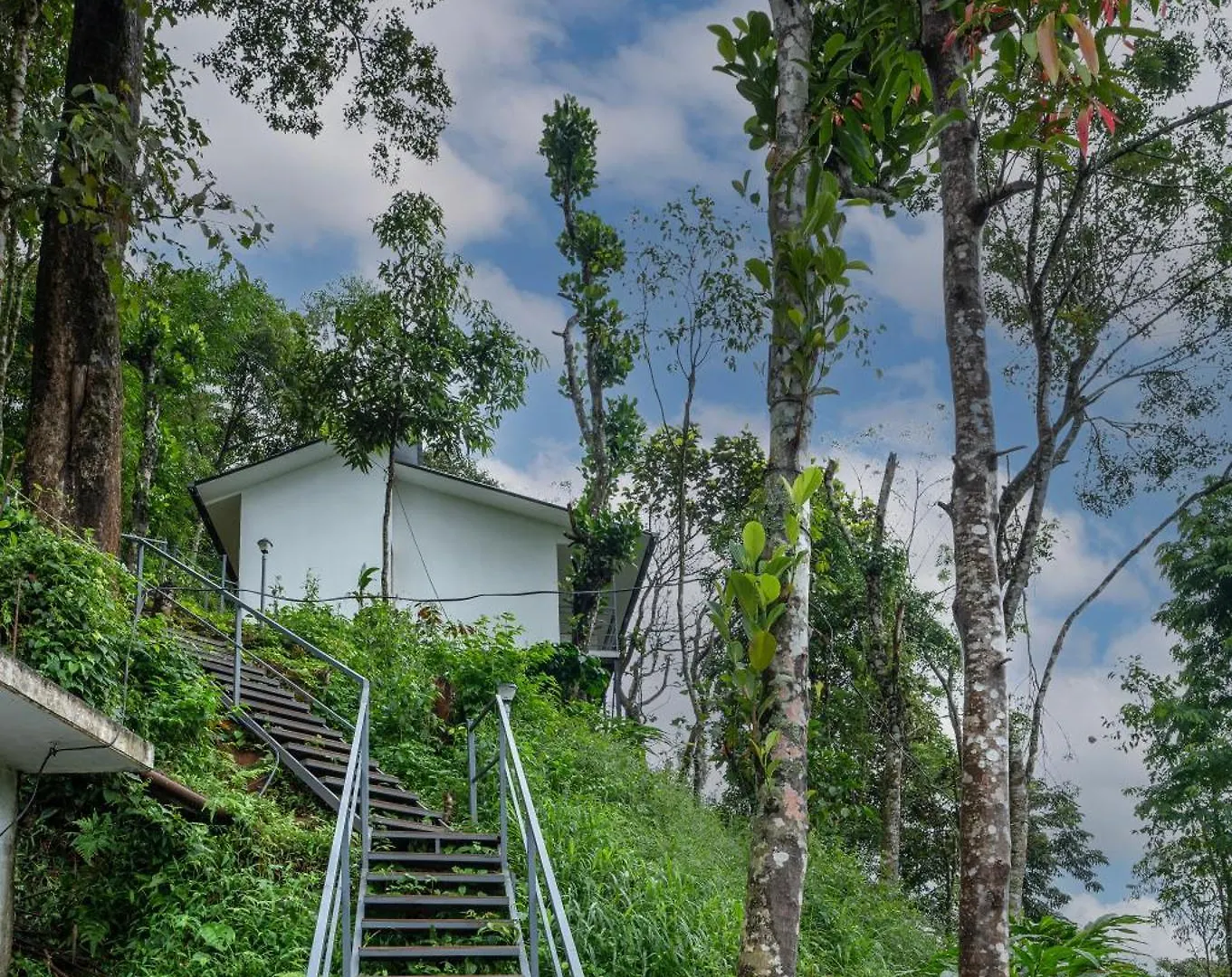 Wild Poetry Hotell Munnar