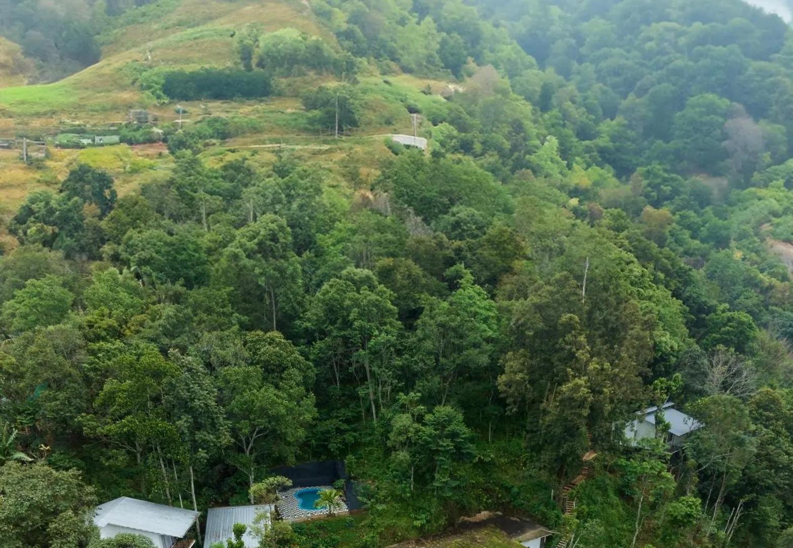 Wild Poetry Hotell Munnar Semesteranläggning (resort)